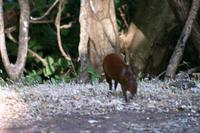 IMG_3247 &ndash; &copy; Annett Müller (Eberhardt TRAVEL)